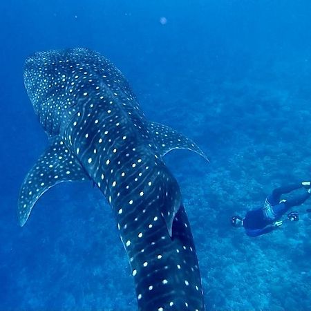 Ufa Escape Hotel Dhigurah  Eksteriør billede