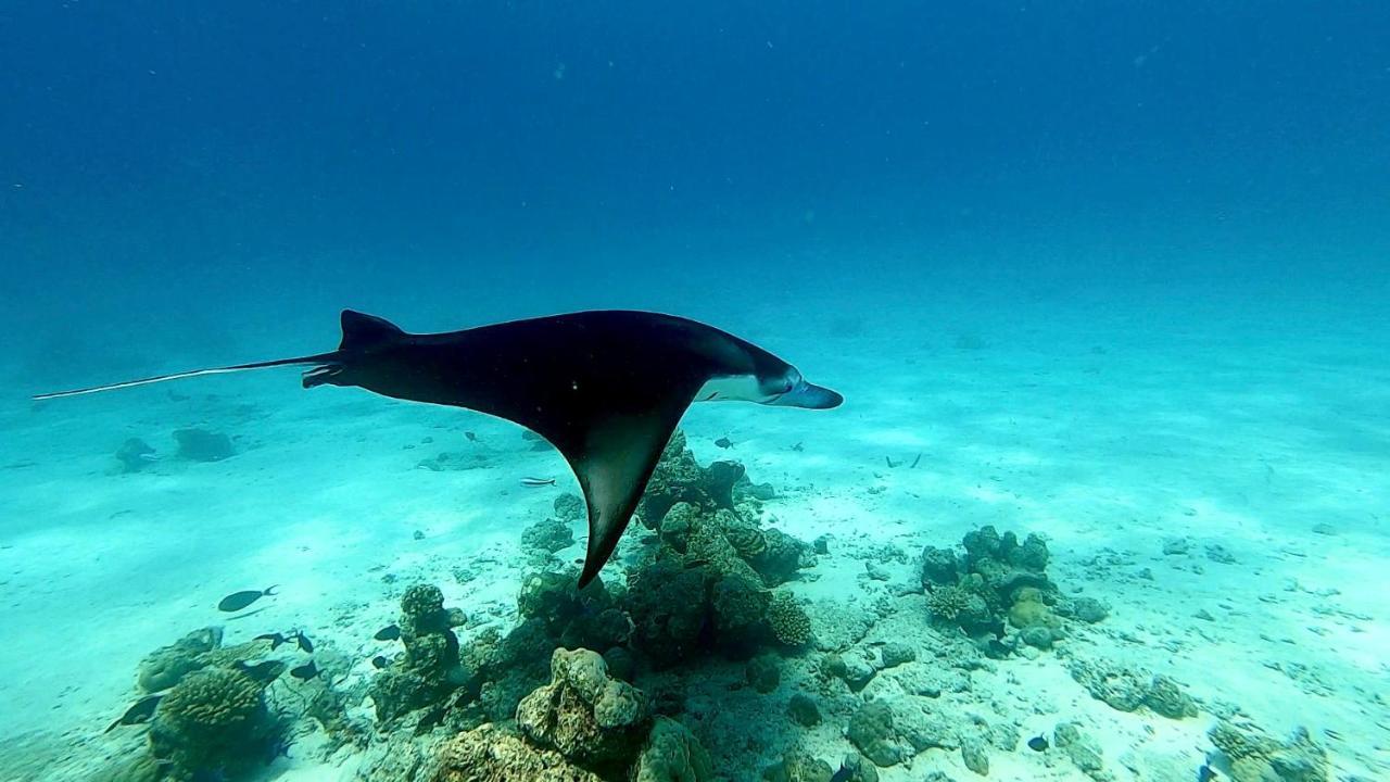 Ufa Escape Hotel Dhigurah  Eksteriør billede