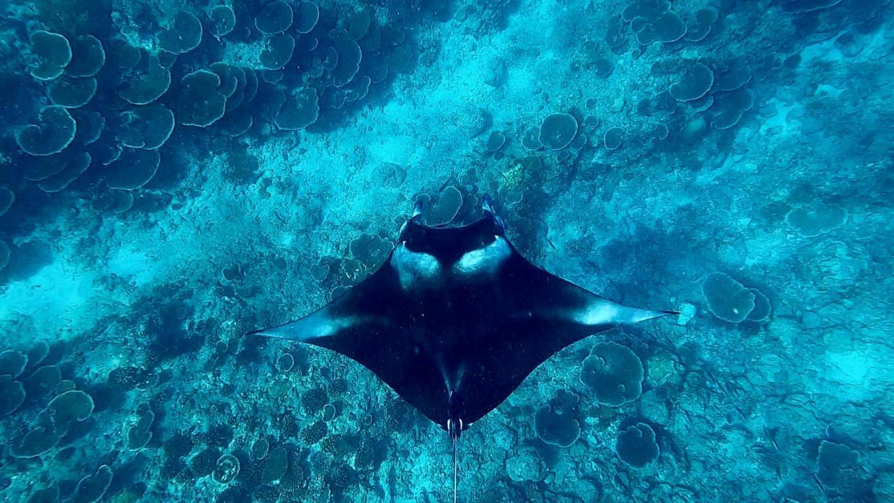 Ufa Escape Hotel Dhigurah  Eksteriør billede
